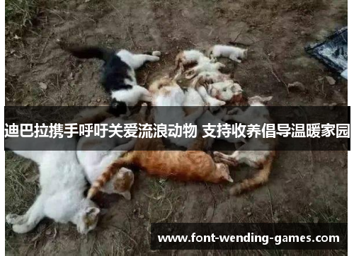 迪巴拉携手呼吁关爱流浪动物 支持收养倡导温暖家园 迪巴拉携手呼吁关爱流浪动物 支持收养倡导温暖家园