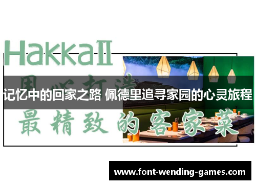 记忆中的回家之路 佩德里追寻家园的心灵旅程